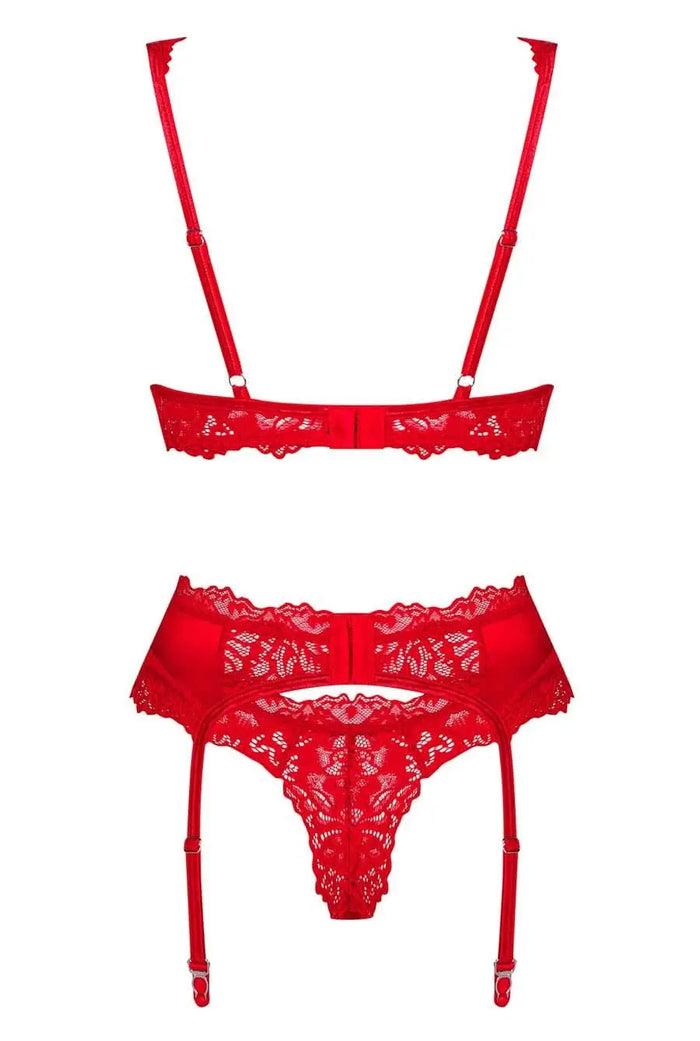 Red Water Bra Set Lingerie